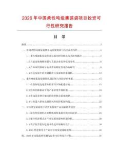 2026年中國柔性噸級集裝袋項目投資可行性研究報告