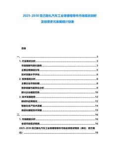 2025-2030克己復(fù)禮汽車(chē)工業(yè)零螺母零件市場(chǎng)現(xiàn)狀剖析及投資多元發(fā)展規(guī)計(jì)劃表