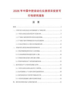 2026年中國中控自動化儀表項(xiàng)目投資可行性研究報(bào)告
