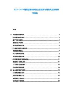 2025-2030財務管理創新及企業融資與財務風險評估研究報告