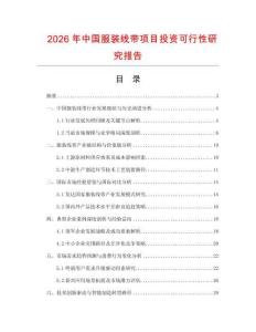 2026年中國服裝線帶項目投資可行性研究報告