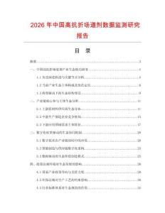 2026年中国高抗折场道剂数据监测研究报告