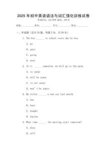 2025年初中英語語法與詞匯強化訓練試卷