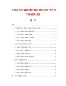 2026年中國鋼構彩鋼壓型板項目投資可行性研究報告