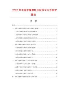2026年中國貧瘦煤項目投資可行性研究報告