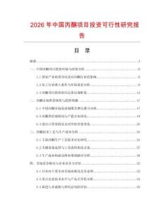 2026年中國丙酮項目投資可行性研究報告