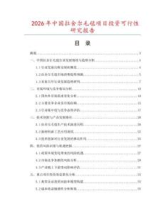2026年中國拉舍爾毛毯項目投資可行性研究報告