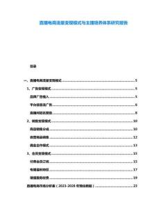 直播電商流量變現模式與主播培養體系研究報告