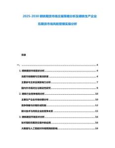 2025-2030鋼鐵期貨市場交易策略分析及鋼鐵生產(chǎn)企業(yè)在期貨市場風(fēng)險(xiǎn)管理實(shí)操分析