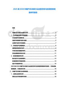 2025至2030中國汽車改裝行業運營態勢與投資前景調查研究報告