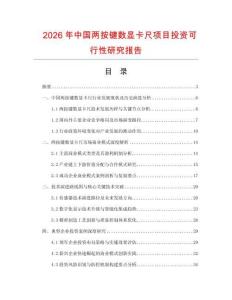 2026年中國兩按鍵數顯卡尺項目投資可行性研究報告