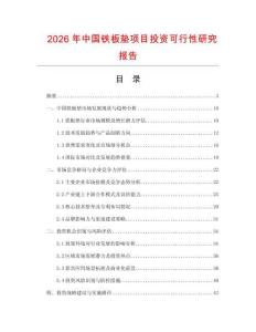 2026年中國鐵板墊項(xiàng)目投資可行性研究報(bào)告