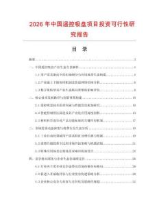 2026年中國遙控吸盤項目投資可行性研究報告