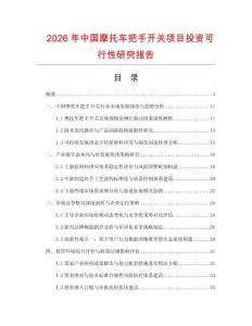 2026年中國摩托車把手開關項目投資可行性研究報告