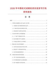2026年中國(guó)絞式成纜機(jī)項(xiàng)目投資可行性研究報(bào)告
