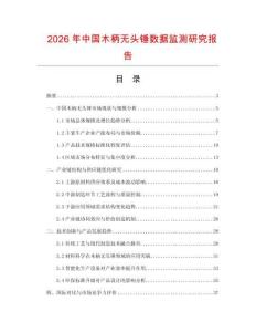 2026年中國木柄無頭錘數據監(jiān)測研究報告