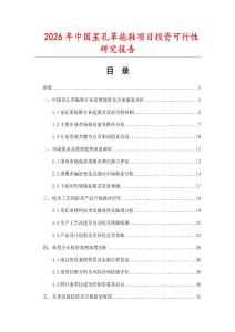 2026年中國星孔革拖鞋項目投資可行性研究報告