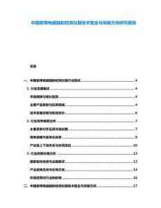 中國家用電磁輻射檢測(cè)儀器技術(shù)壁壘與突破方向研究報(bào)告