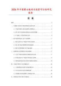 2026年中國爵士鼓項目投資可行性研究報告