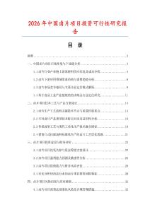 2026年中國鹵片項目投資可行性研究報告