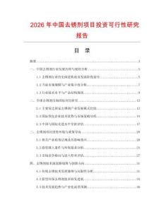 2026年中国去锈剂项目投资可行性研究报告