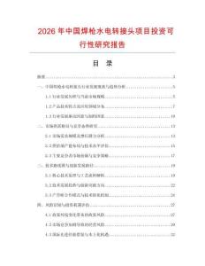 2026年中國焊槍水電轉接頭項目投資可行性研究報告