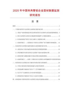 2025年中國轉(zhuǎn)角管鋁合金型材數(shù)據(jù)監(jiān)測研究報(bào)告