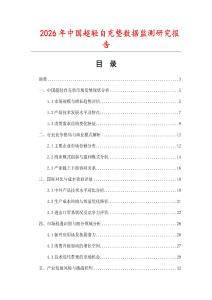 2026年中國超輕自充墊數據監測研究報告