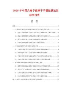 2025年中國負離子健康干手器數據監測研究報告