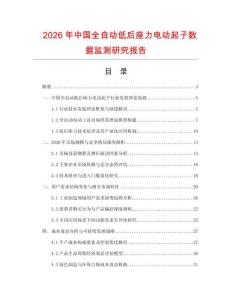 2026年中國全自動低后座力電動起子數據監測研究報告