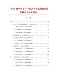 2026及未來5年中國臭氧管及配套電路數據監測研究報告