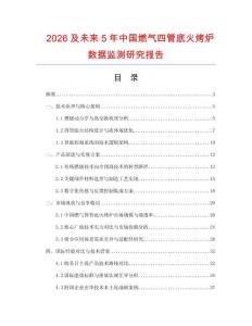 2026及未來5年中國燃氣四管底火烤爐數據監測研究報告