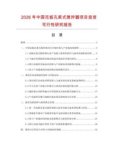 2026年中國花板孔槳式攪拌器項目投資可行性研究報告