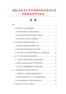 2026及未來5年中國豪華脈沖旋渦式噴咀數據監測研究報告