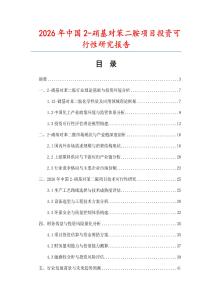 2026年中國2-硝基對苯二胺項目投資可行性研究報告