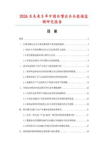 2026及未來5年中國水嘴出水頭數據監測研究報告