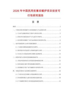 2026年中國民用炊事采暖爐項目投資可行性研究報告