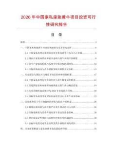 2026年中國家私座墊黃牛項目投資可行性研究報告