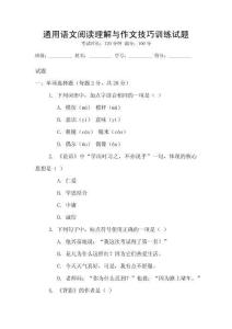 通用語文閱讀理解與作文技巧訓練試題