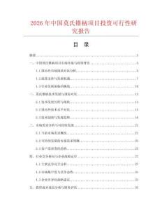 2026年中國莫氏錐柄項(xiàng)目投資可行性研究報(bào)告