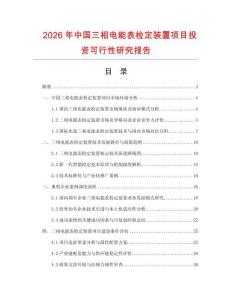 2026年中國三相電能表檢定裝置項目投資可行性研究報告