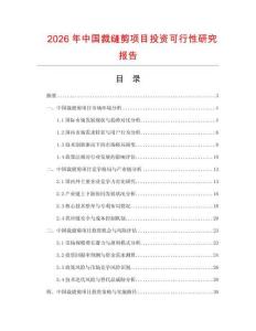 2026年中國裁縫剪項(xiàng)目投資可行性研究報(bào)告