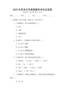 2025年高考化学真题解析考试及答案