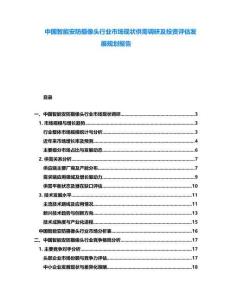 中國智能安防攝像頭行業(yè)市場現(xiàn)狀供需調(diào)研及投資評估發(fā)展規(guī)劃報告
