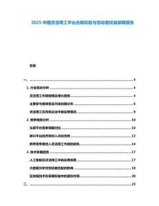 2025中國靈活用工平臺合規風險與勞動者權益保障報告