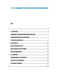 2025中國新能源汽車電池回收利用政策與市場前景報告