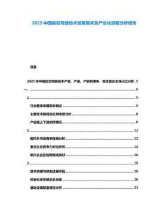 2025中國自動駕駛技術發展現狀及產業化進程分析報告