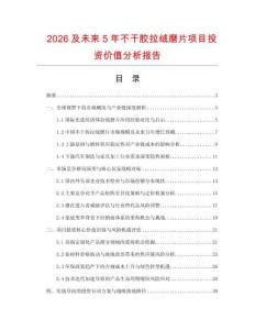 2026及未來(lái)5年不干膠拉絨磨片項(xiàng)目投資價(jià)值分析報(bào)告