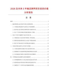 2026及未來(lái)5年輸送篩網(wǎng)項(xiàng)目投資價(jià)值分析報(bào)告