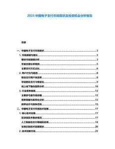 2025中國電子支付市場現狀及投資機會分析報告